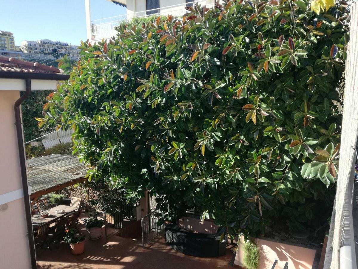 Villa Bruna B&B San Remo Buitenkant foto
